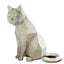 3D Cat Model