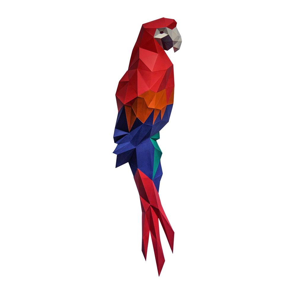 Macaw Wall Art Main image