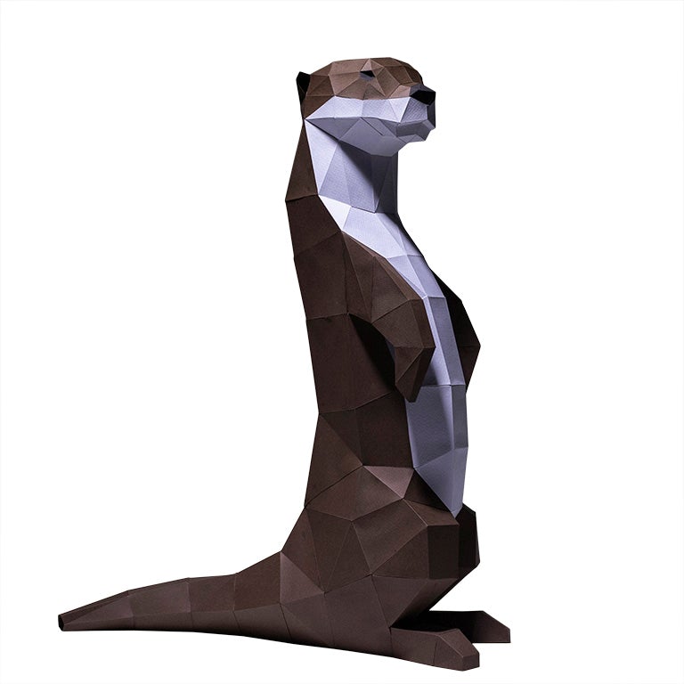 Otter Model