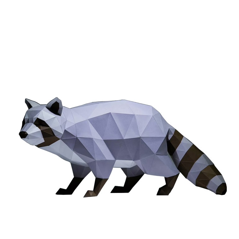 Raccoon Model Secondary image
