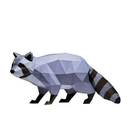 Raccoon Model