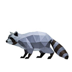 Raccoon Model