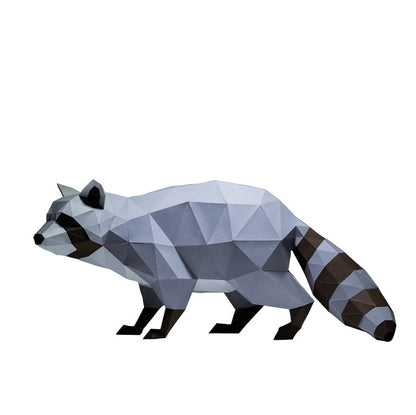 Raccoon Model