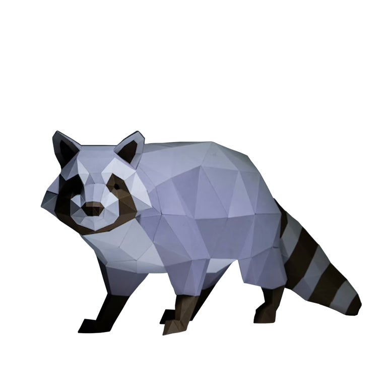 Raccoon Model Main image