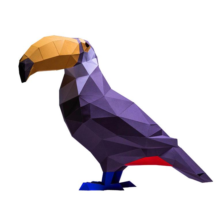 Toucan 3D Model Main image