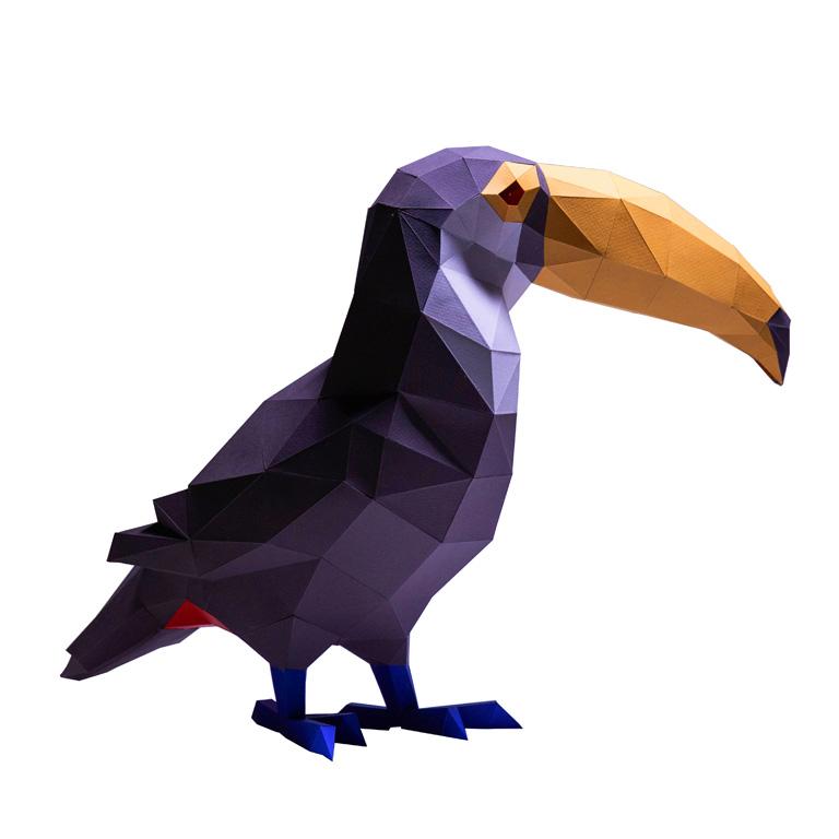 Toucan 3D Model Secondary image