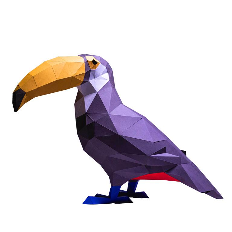 Toucan 3D Model