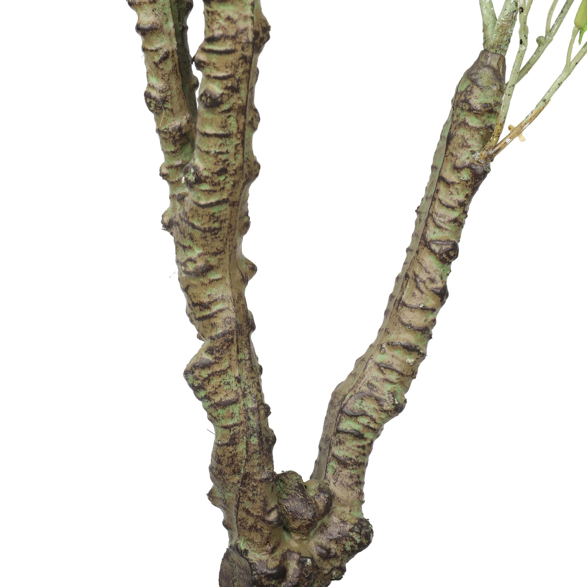 Potted Artificial Eucalyptus Tree (White Box Eucalyptus Albens) 120cm Secondary image