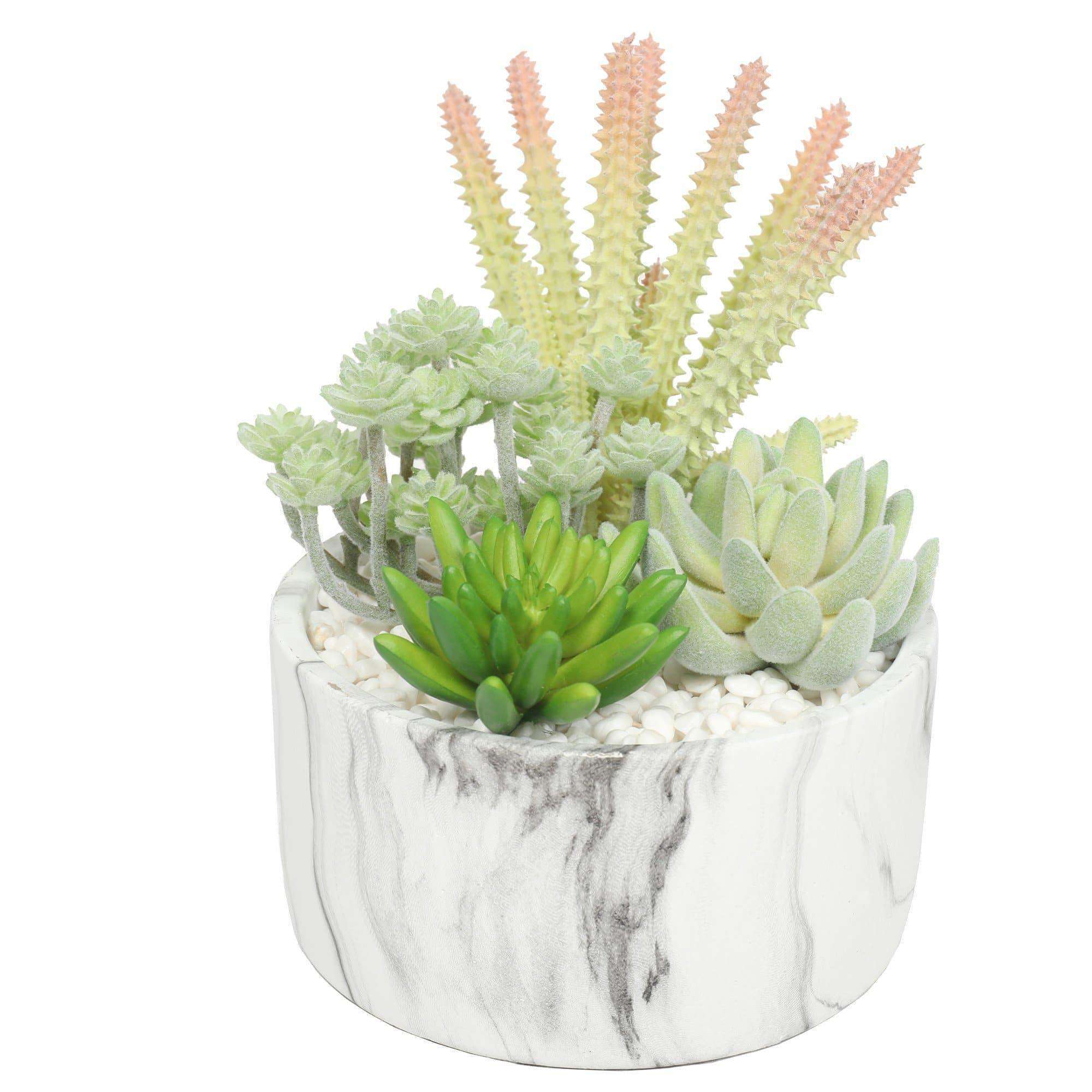 Potted Artificial Succulent Bowl with Marble Pot 20.5cm Main image