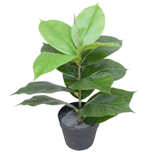 Artificial Potted Rubber Plant 55cm Main image