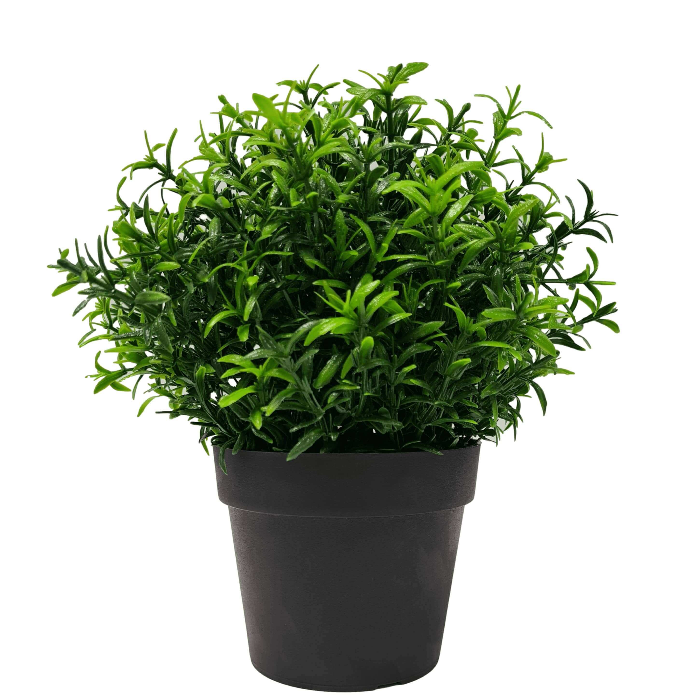Small Potted Artificial Bright Rosemary Herb Plant UV Resistant 20cm Main image