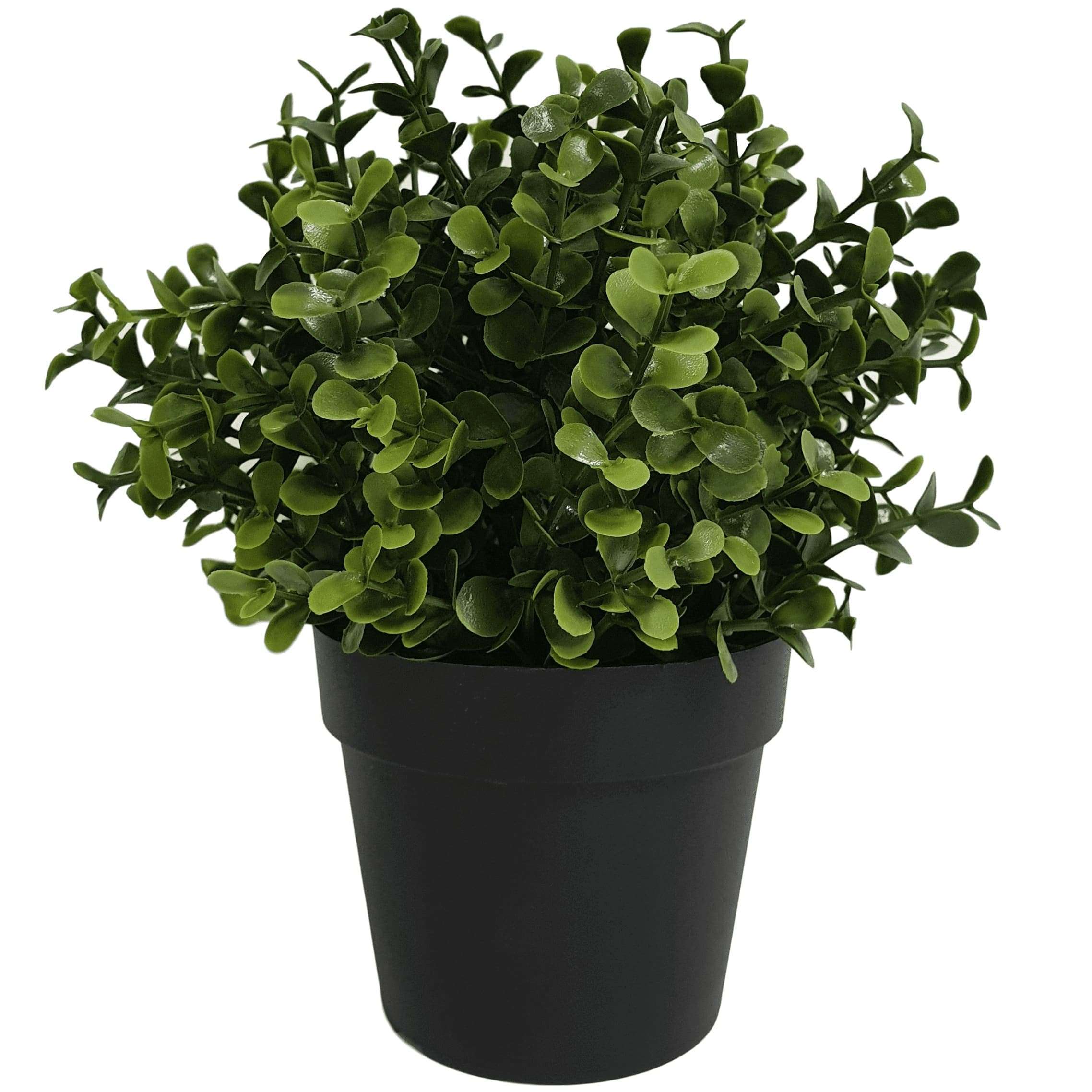 Small Potted Artificial Buxus Plant UV Resistant 20cm Main image