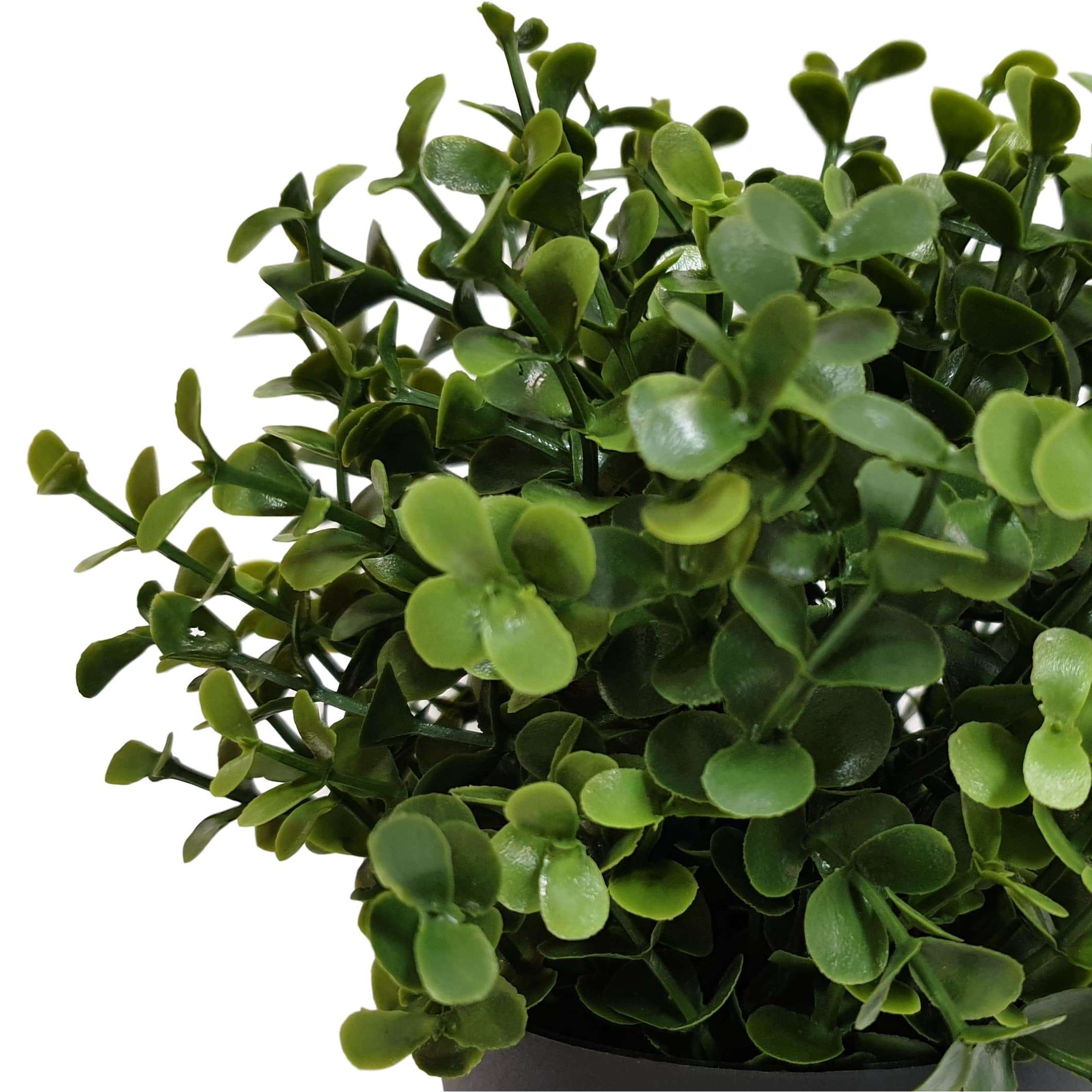 Small Potted Artificial Buxus Plant UV Resistant 20cm Secondary image