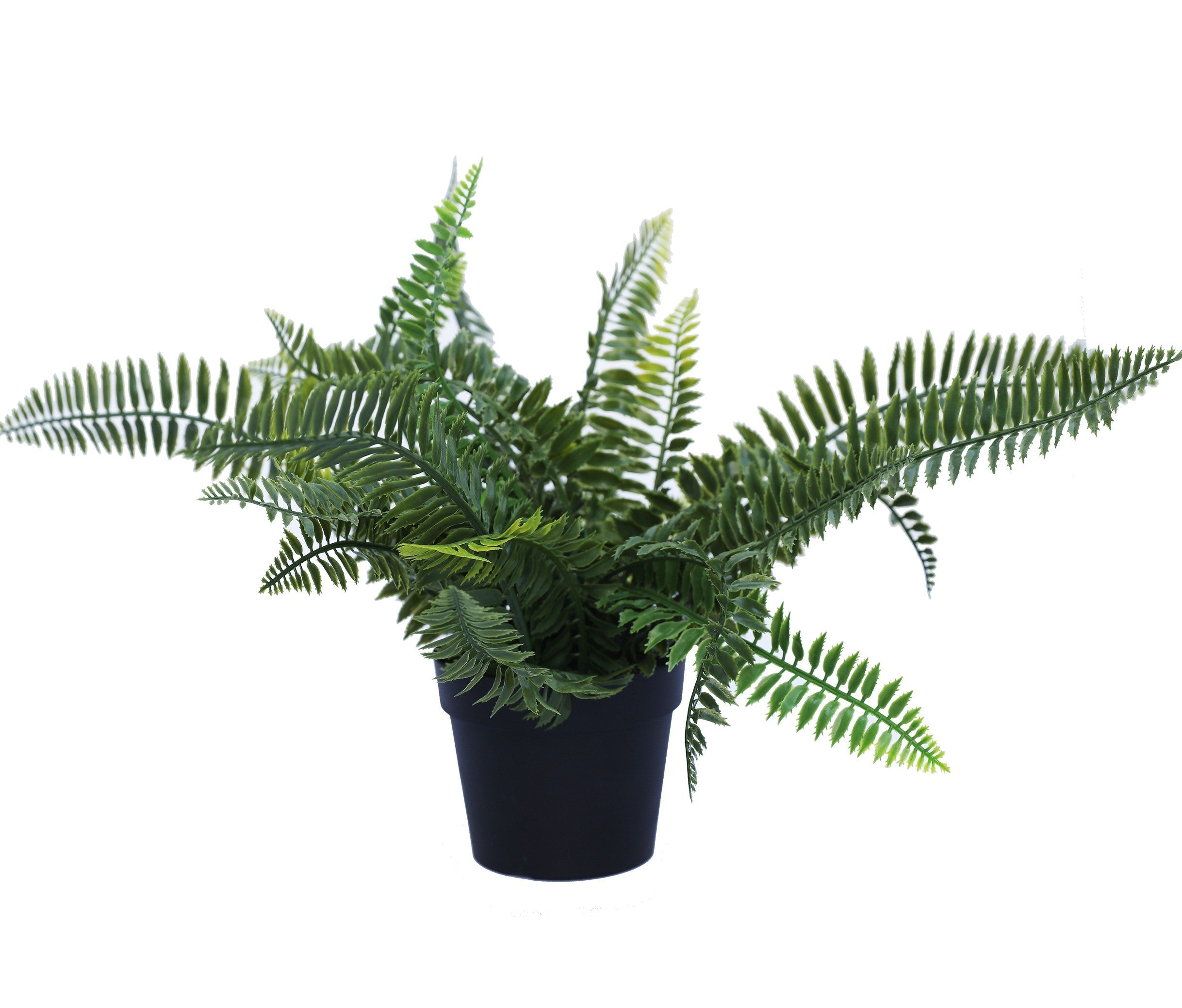 Small Potted Artificial Dark Green Fern Plant UV Resistant 20cm Main image