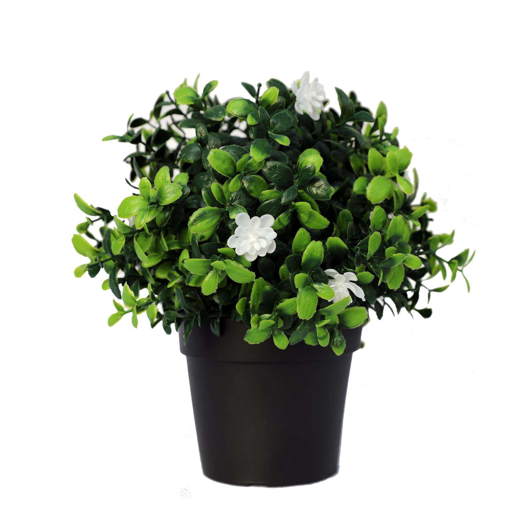 Small Potted Artificial Flowering Boxwood Plant UV Resistant 20cm Main image