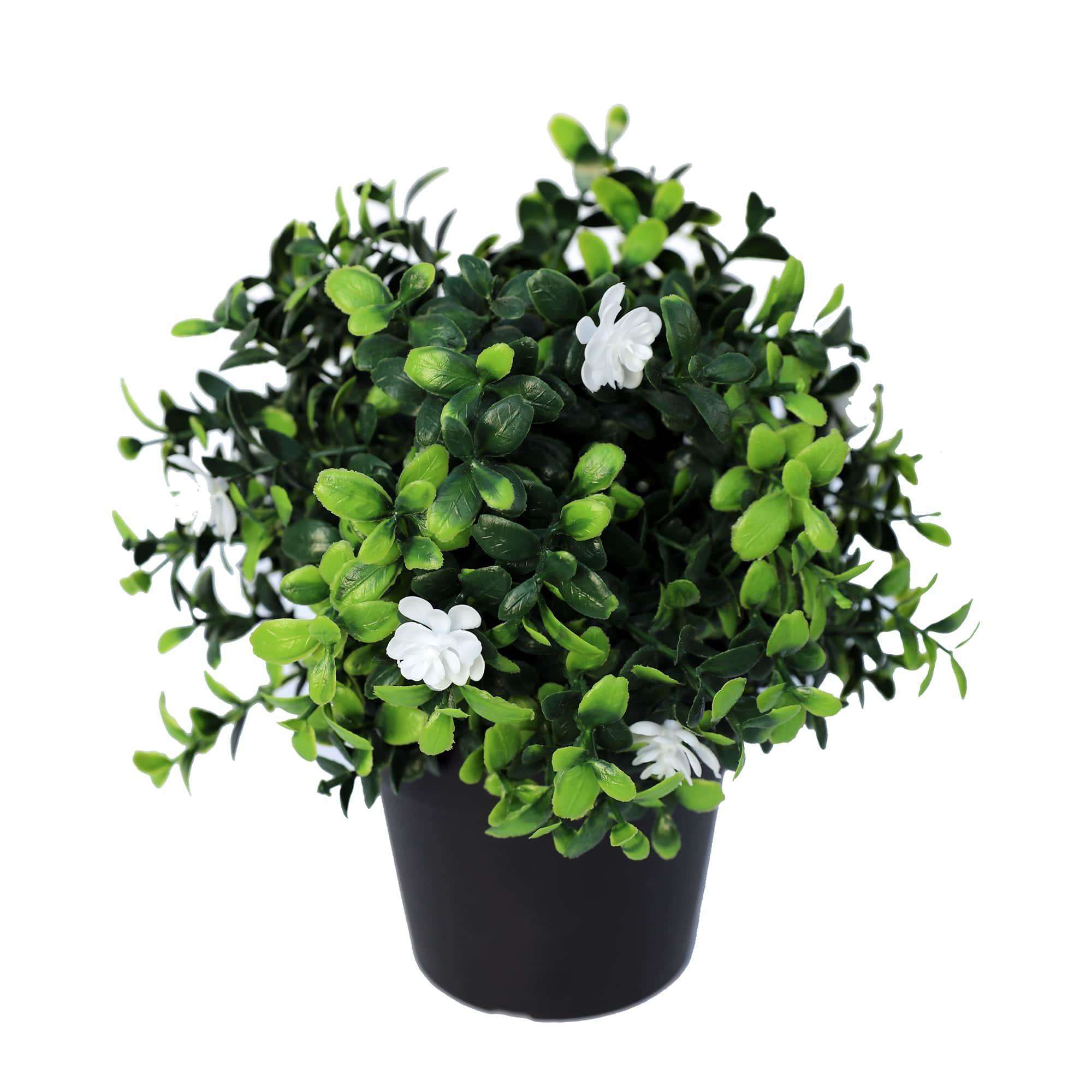 Small Potted Artificial Flowering Boxwood Plant UV Resistant 20cm Secondary image