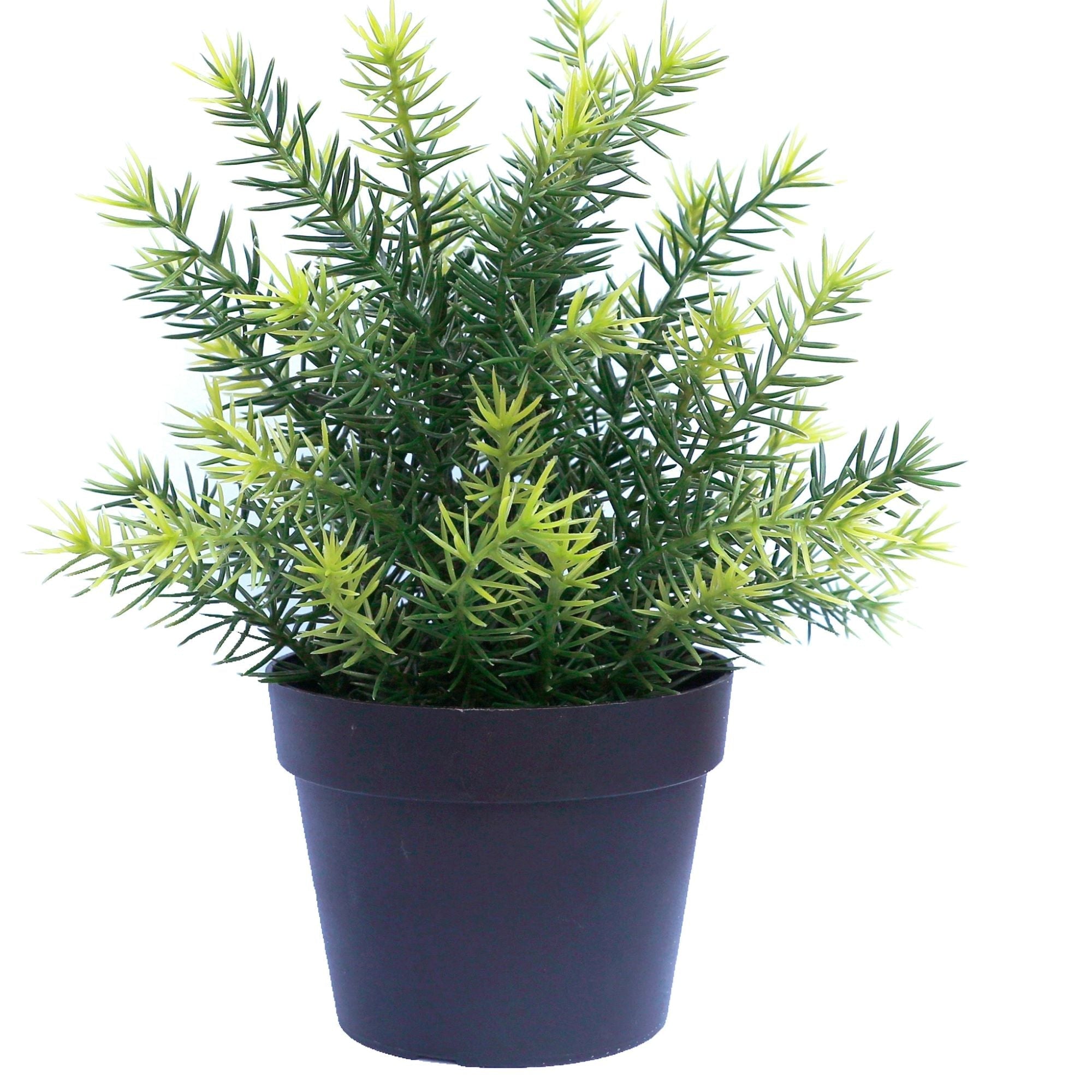 Small Potted Artificial Native Grass Plant UV Resistant 20cm Main image