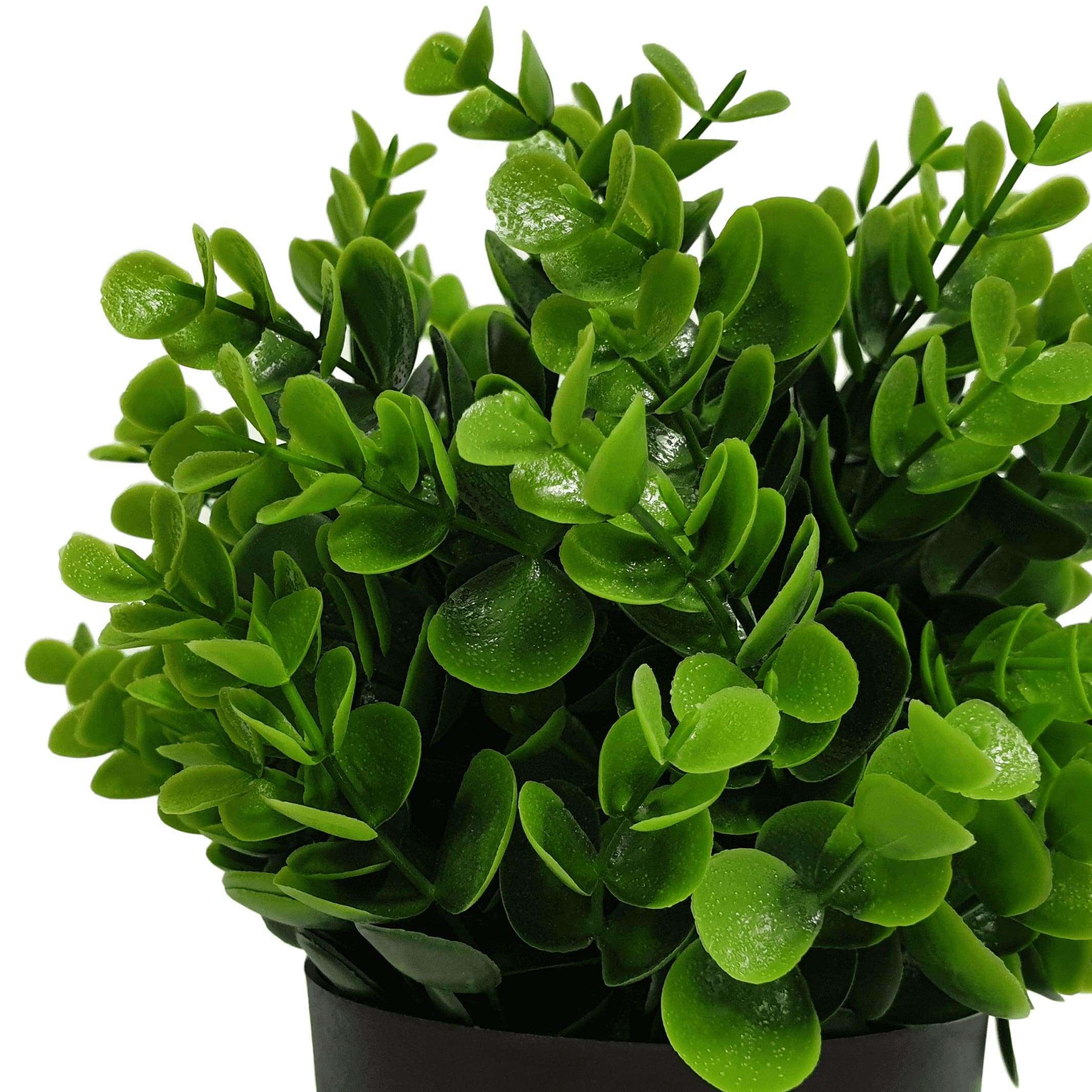 Small Potted Artificial Peperomia Plant UV Resistant 20cm Secondary image