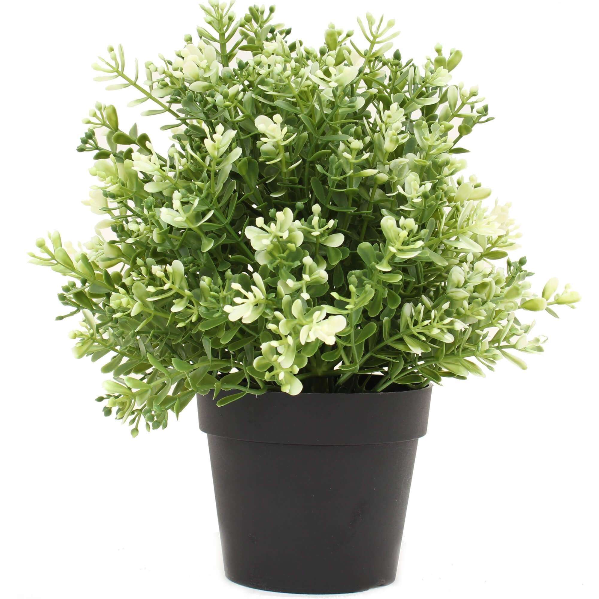 Small Potted Artificial White Jade Plant UV Resistant 20cm Main image