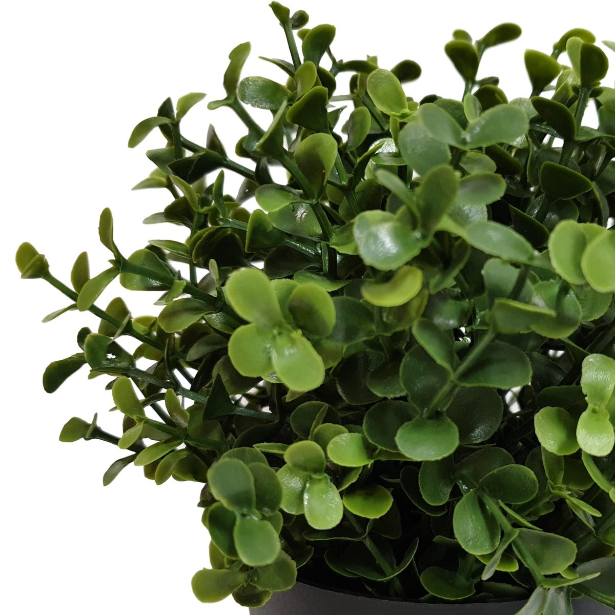 Small Potted Artificial Buxus Plant UV Resistant 20cm Secondary image