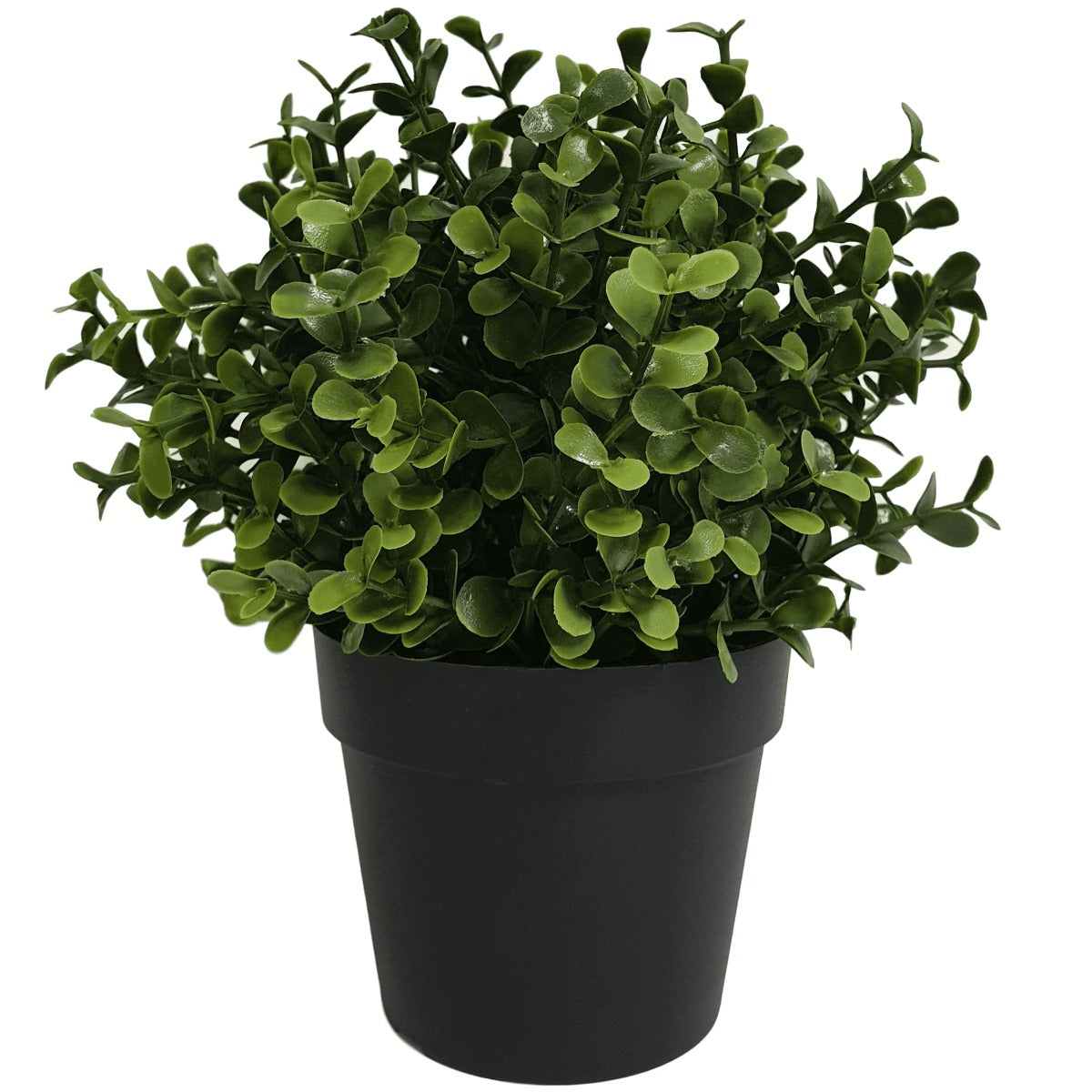 Small Potted Artificial Buxus Plant UV Resistant 20cm Main image