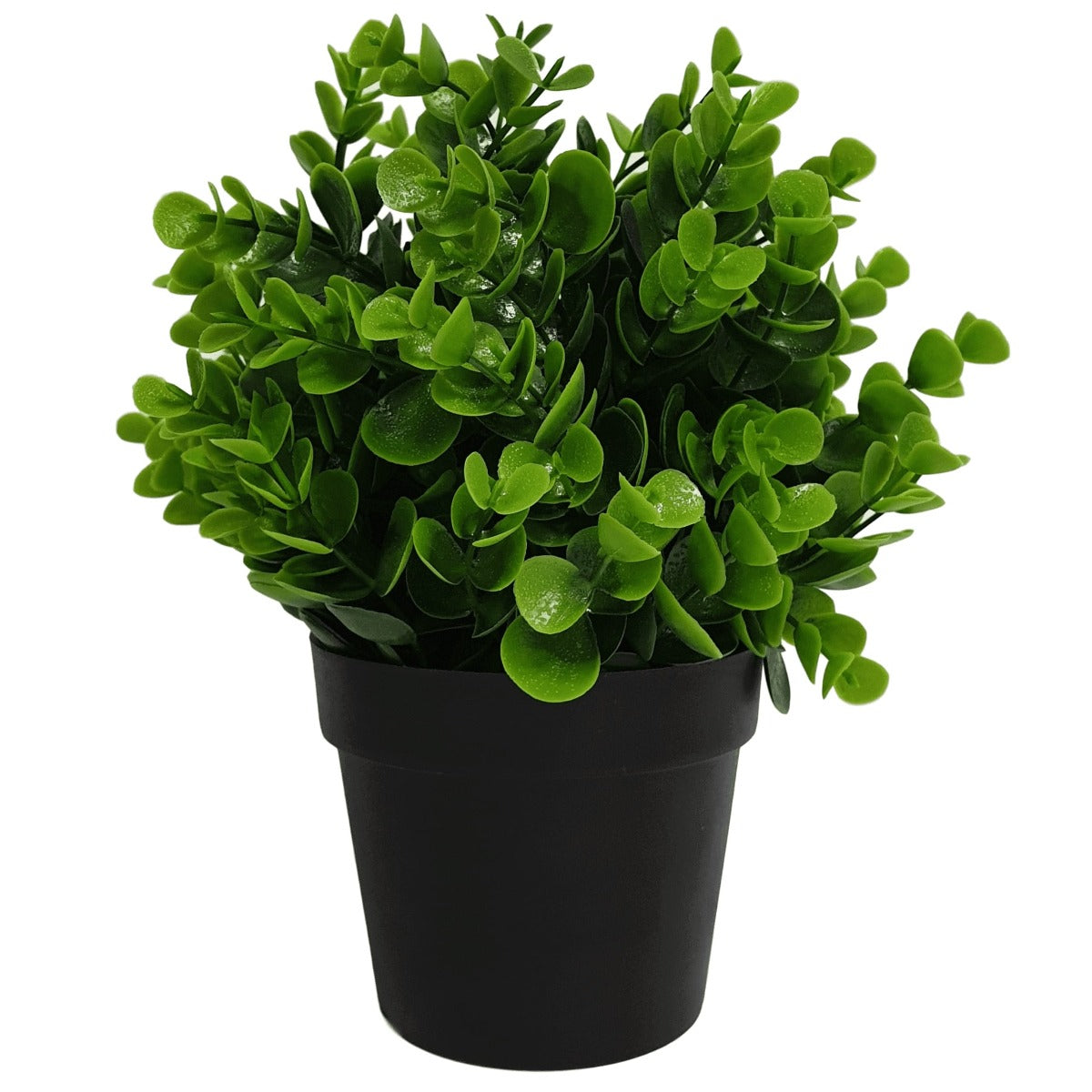Small Potted Artificial Peperomia Plant UV Resistant 20cm Main image