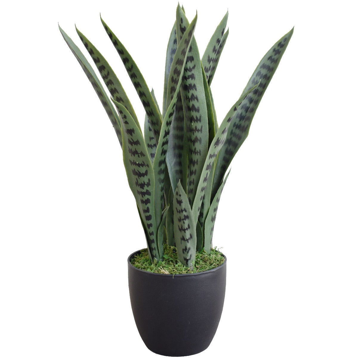 Artificial Snake Plant UV Resistant 60cm Main image