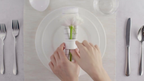 Dinner Spoon 8" inch | Set Of 6 In Colour Box